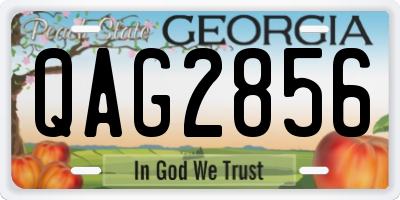 GA license plate QAG2856