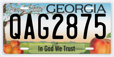 GA license plate QAG2875
