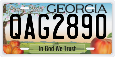 GA license plate QAG2890