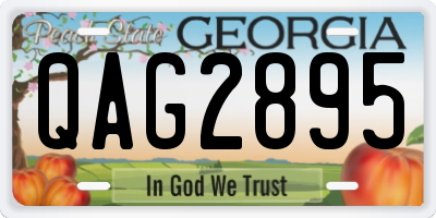 GA license plate QAG2895