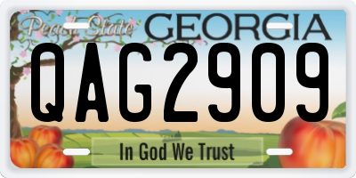 GA license plate QAG2909