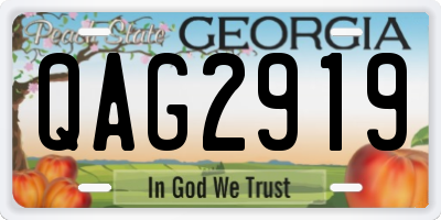 GA license plate QAG2919