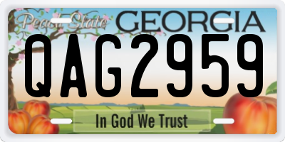 GA license plate QAG2959