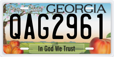 GA license plate QAG2961