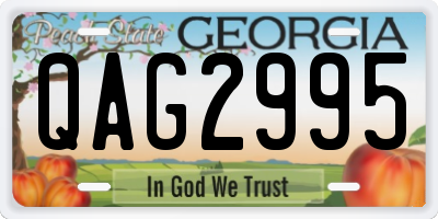 GA license plate QAG2995