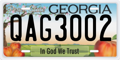 GA license plate QAG3002