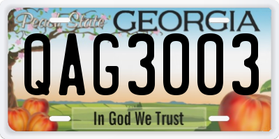 GA license plate QAG3003