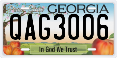 GA license plate QAG3006