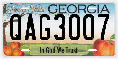 GA license plate QAG3007