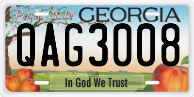 GA license plate QAG3008