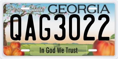 GA license plate QAG3022