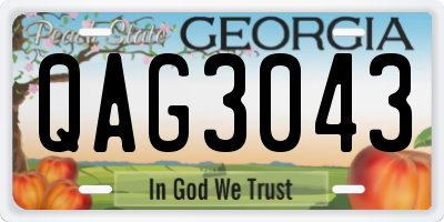 GA license plate QAG3043