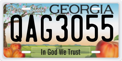 GA license plate QAG3055