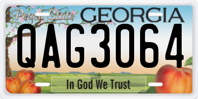 GA license plate QAG3064
