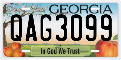 GA license plate QAG3099