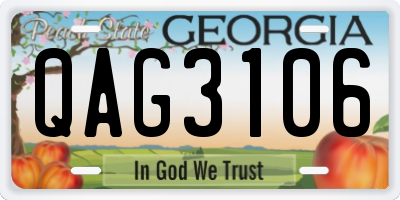 GA license plate QAG3106