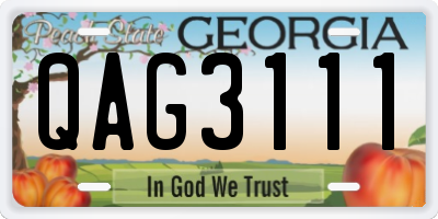 GA license plate QAG3111