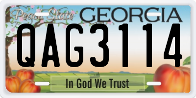 GA license plate QAG3114