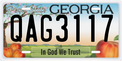 GA license plate QAG3117