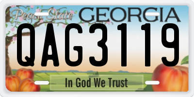 GA license plate QAG3119