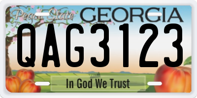 GA license plate QAG3123