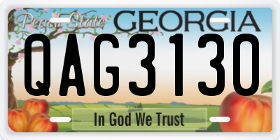 GA license plate QAG3130