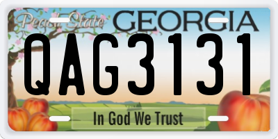 GA license plate QAG3131
