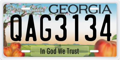 GA license plate QAG3134
