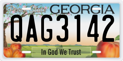 GA license plate QAG3142