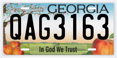 GA license plate QAG3163