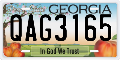 GA license plate QAG3165