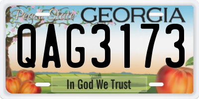 GA license plate QAG3173