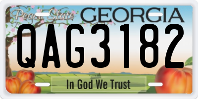 GA license plate QAG3182