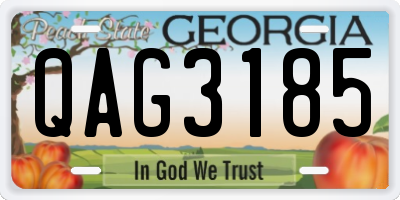 GA license plate QAG3185