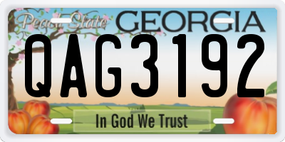 GA license plate QAG3192