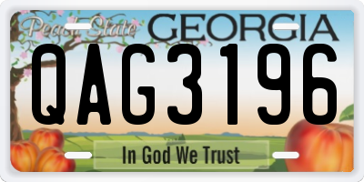 GA license plate QAG3196