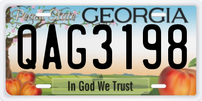 GA license plate QAG3198