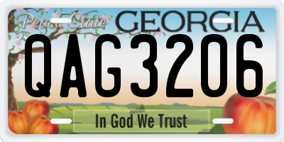 GA license plate QAG3206