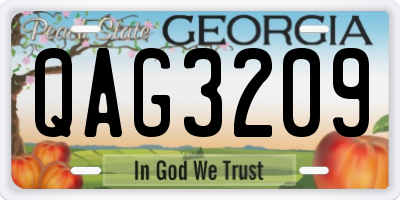GA license plate QAG3209