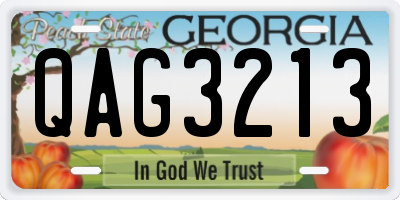 GA license plate QAG3213