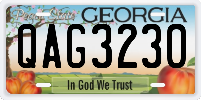 GA license plate QAG3230