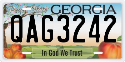 GA license plate QAG3242