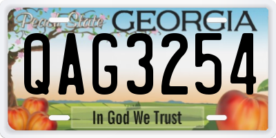 GA license plate QAG3254