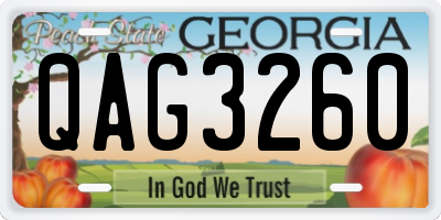 GA license plate QAG3260