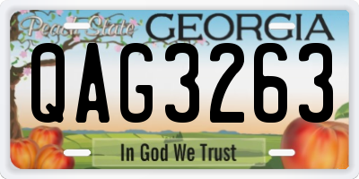 GA license plate QAG3263