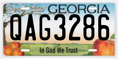 GA license plate QAG3286