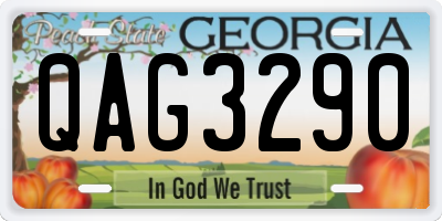 GA license plate QAG3290