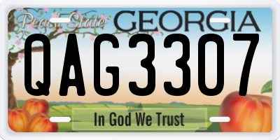 GA license plate QAG3307