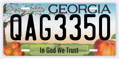 GA license plate QAG3350