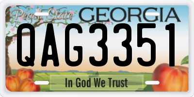 GA license plate QAG3351
